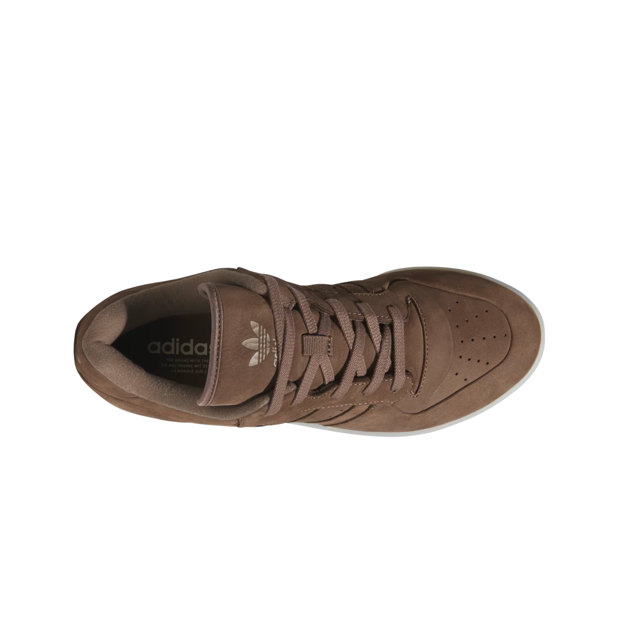 Tenis Adidas Rivalry Lux Low Marrom Masculino |JH7974 Sneakers